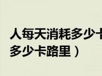 人每天消耗多少卡路里比较合适（人每天消耗多少卡路里）