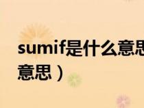 sumif是什么意思翻译成中文（sumif是什么意思）