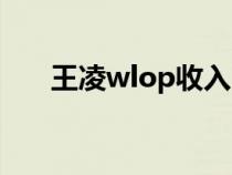 王凌wlop收入（wlop王凌本人照片）