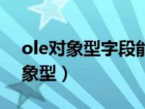 ole对象型字段能输入什么样的数据（ole对象型）