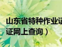 山东省特种作业证查询网址（山东省特种作业证网上查询）