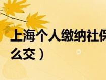 上海个人缴纳社保怎么交（上海自己交社保怎么交）