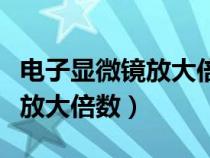 电子显微镜放大倍数最大是多少（电子显微镜放大倍数）