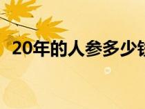 20年的人参多少钱一克（人参多少钱一克）