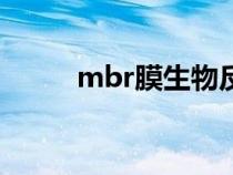 mbr膜生物反应器（生物反应器）