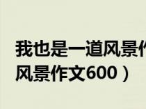 我也是一道风景作文600字初中（我也是一道风景作文600）