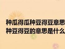 种瓜得瓜种豆得豆意思是什么前人栽树后人乘凉（种瓜得瓜种豆得豆的意思是什么）