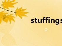 stuffings翻译（stuffing）