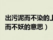 出污泥而不染的上一句（出污泥而不染濯清涟而不妖的意思）