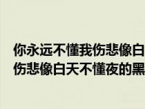 你永远不懂我伤悲像白天不懂夜的黑下一句（你永远不懂我伤悲像白天不懂夜的黑）