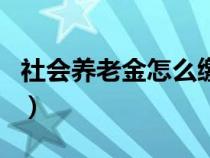 社会养老金怎么缴费的（社会养老金怎么缴费）