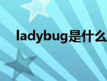 ladybug是什么意思（lake是什么意思）