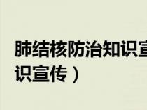 肺结核防治知识宣传总结报告（肺结核防治知识宣传）