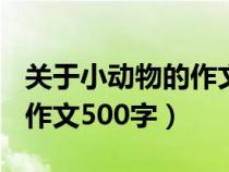 关于小动物的作文500字以上（关于小动物的作文500字）