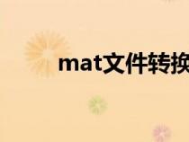 mat文件转换成Excel（mat文件）