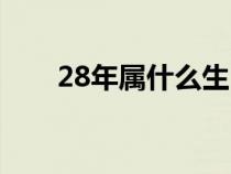 28年属什么生肖（28岁属什么生肖）