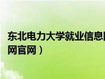 东北电力大学就业信息网官网2020（东北电力大学就业信息网官网）