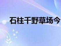 石柱千野草场今日状况（石柱千野草场）