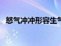 怒气冲冲形容生气的四字词语（怒气冲冲）