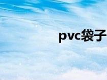 pvc袋子图片（pvc袋子）