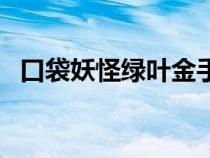 口袋妖怪绿叶金手指代码（口袋妖怪绿叶）