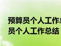 预算员个人工作总结2023最新完整版（预算员个人工作总结）