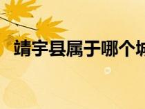 靖宇县属于哪个城市（靖宇县属于哪个市）