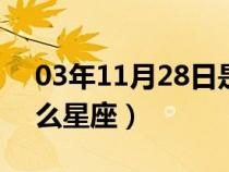 03年11月28日是什么星座（11月28日是什么星座）