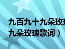 九百九十九朵玫瑰歌词啥意思呢?（九百九十九朵玫瑰歌词）