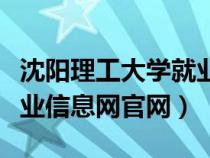 沈阳理工大学就业质量报告（沈阳理工大学就业信息网官网）