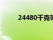 24480千克等于多少吨?（2448）