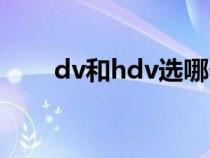 dv和hdv选哪个（dv和hdv的区别）