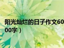 阳光灿烂的日子作文600字初一日记（阳光灿烂的日子作文600字）