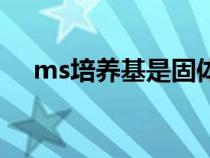 ms培养基是固体培养基吗（ms培养基）