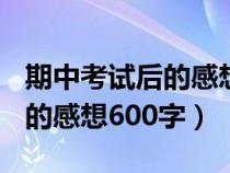 期中考试后的感想600字六年级（期中考试后的感想600字）