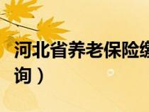 河北省养老保险缴费查询（河北省养老保险查询）