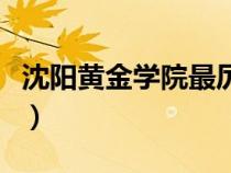 沈阳黄金学院最厉害三个专业（沈阳黄金学院）