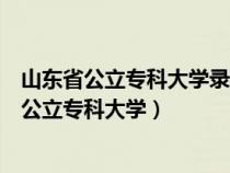 山东省公立专科大学录取分数线较低的学校有哪些（山东省公立专科大学）