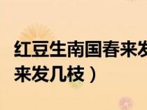 红豆生南国春来发几枝的意思（红豆生南国春来发几枝）