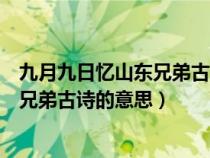 九月九日忆山东兄弟古诗的意思翻译最短（九月九日忆山东兄弟古诗的意思）