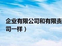 企业有限公司和有限责任公司区别（有限公司和有限责任公司一样）