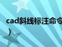 cad斜线标注命令快捷键（CAD标注的快捷键）