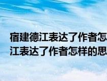 宿建德江表达了作者怎样的思想感情对什么的感慨（宿建德江表达了作者怎样的思想感情）