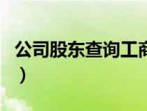 公司股东查询工商网站（公司股东信息查询网）