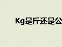 Kg是斤还是公斤（kg是斤还是公斤）