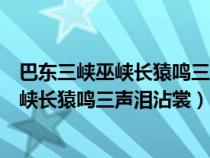 巴东三峡巫峡长猿鸣三声泪沾裳的意思是什么（巴东三峡巫峡长猿鸣三声泪沾裳）