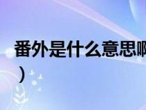 番外是什么意思啊网络用语（番外是什么意思）