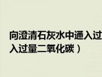 向澄清石灰水中通入过量二氧化碳的现象（澄清石灰水中通入过量二氧化碳）