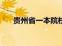 贵州省一本院校名单（一本院校名单）