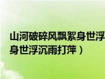 山河破碎风飘絮身世浮沉雨打萍省略成分（山河破碎风飘絮身世浮沉雨打萍）